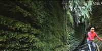 Te Anau Glowworm Caves
