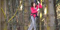 Adrenalin Forest