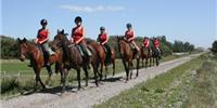 Waimak River Horse Treks Ltd