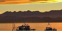 Kaikoura Fishing Charters