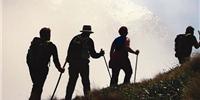 Kaikoura Wilderness Walks