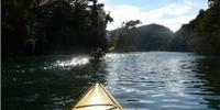 Marahau Sea Kayaks