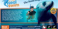 Abel Tasman Seal Swim