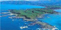 Kaikoura Helicopters Whale Watching