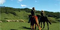 Paradise Valley Ventures