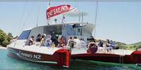 Carino Sailing and Dolphin Adventures