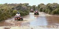 Tuatua Tours