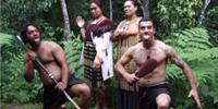 Waitangi Treaty Grounds
