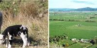 Whakatane Homestay Leaburn Farm